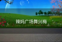 辣妈广场舞兴梅