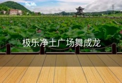 极乐净土广场舞成龙