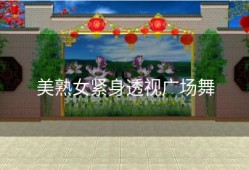 美熟女紧身透视广场舞