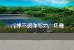 戒掉不想你郭力广场舞