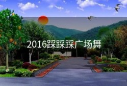 2016踩踩踩广场舞