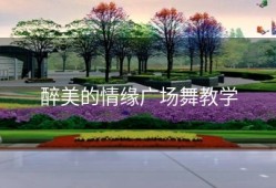 醉美的情缘广场舞教学