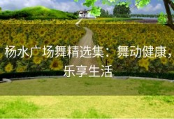 杨水广场舞精选集：舞动健康，乐享生活