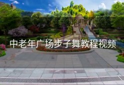 中老年广场步子舞教程视频