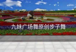 九妹广场舞原创步子舞