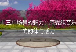中三广场舞的魅力：感受纯音乐的韵律与活力