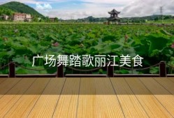 广场舞踏歌丽江美食