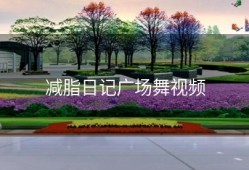 减脂日记广场舞视频