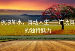 夜凉如水，舞动人生——广场舞的独特魅力