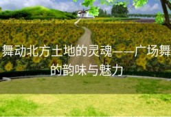 舞动北方土地的灵魂——广场舞的韵味与魅力