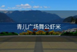 青儿广场舞公虾米