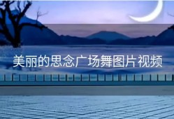 美丽的思念广场舞图片视频