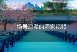 广场舞浪漫的酒家视频