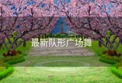 最新队形广场舞