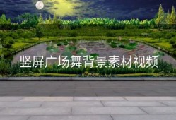 竖屏广场舞背景素材视频