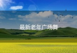 最新老年广场舞
