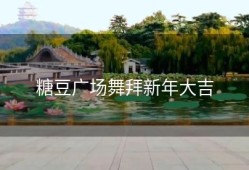 糖豆广场舞拜新年大吉