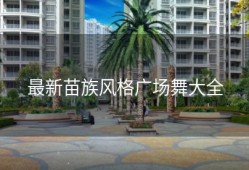 最新苗族风格广场舞大全