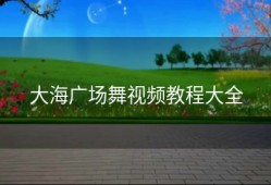 大海广场舞视频教程大全