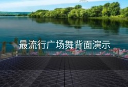 最流行广场舞背面演示