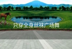 只穿全身丝袜广场舞