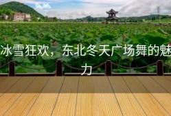 冰雪狂欢，东北冬天广场舞的魅力