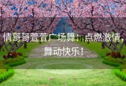 情哥哥萱萱广场舞：点燃激情，舞动快乐！