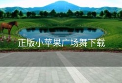 正版小苹果广场舞下载