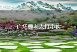 广场舞老人打小伙