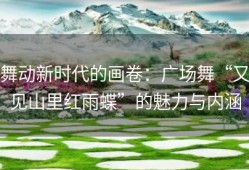 舞动新时代的画卷：广场舞“又见山里红雨蝶”的魅力与内涵
