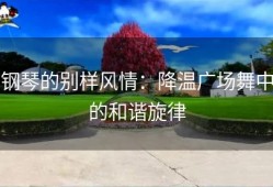 钢琴的别样风情：降温广场舞中的和谐旋律