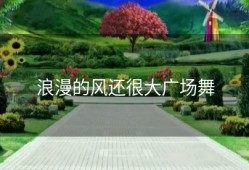 浪漫的风还很大广场舞
