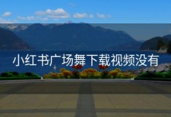 小红书广场舞下载视频没有