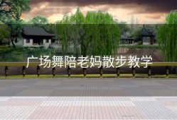广场舞陪老妈散步教学