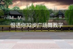 恨透你32步广场舞教学