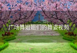 广场舞姐姐们的舞姿视频