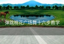 弹跳棉花广场舞十六步教学