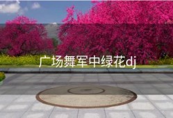 广场舞军中绿花dj