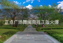 正点广场舞闽南摇正版火爆