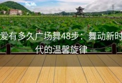 爱有多久广场舞48步：舞动新时代的温馨旋律