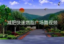 减肥快速燃脂广场舞视频