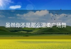 虽然你不是那么温柔广场舞