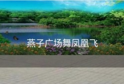 燕子广场舞凤凰飞