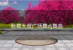 秋裤大叔广场舞dj舞曲
