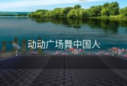 动动广场舞中国人