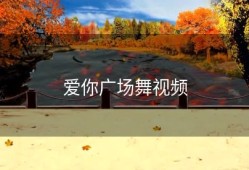 爱你广场舞视频