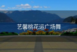 艺馨桃花运广场舞