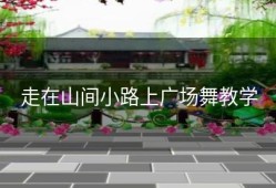 走在山间小路上广场舞教学