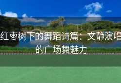 红枣树下的舞蹈诗篇：文静演唱的广场舞魅力