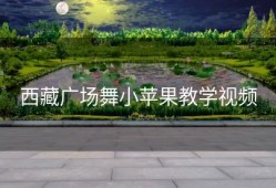 西藏广场舞小苹果教学视频